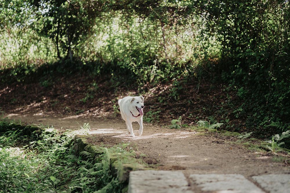 fotógrafo_de_bodas_en_la_coruña_01